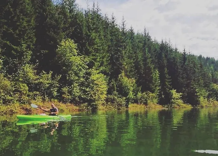 Lejlighed Zlatarska Pahulja *